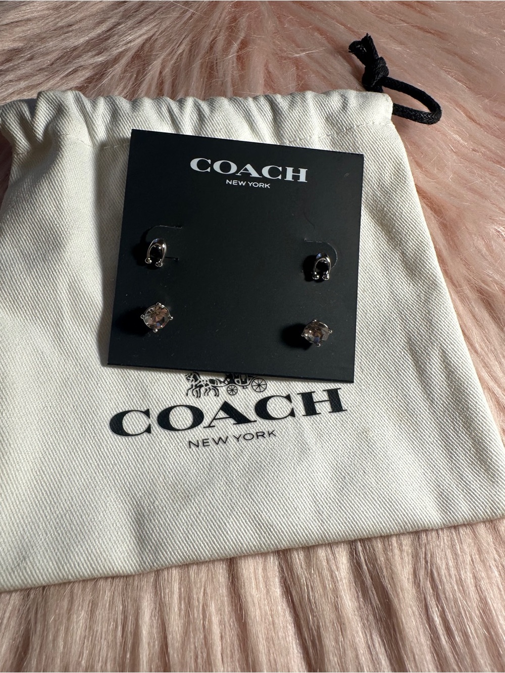 Coach Silver Crystal Stud and Hoop Earring Set
